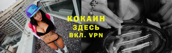 тгк Пестово