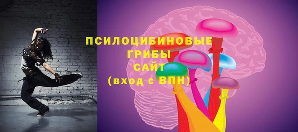 тгк Пестово
