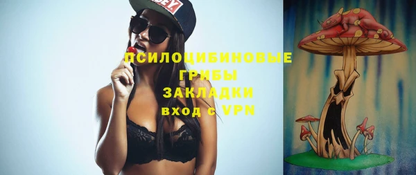 экстази Пересвет