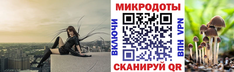 Галлюциногенные грибы мухоморы  Свободный 
