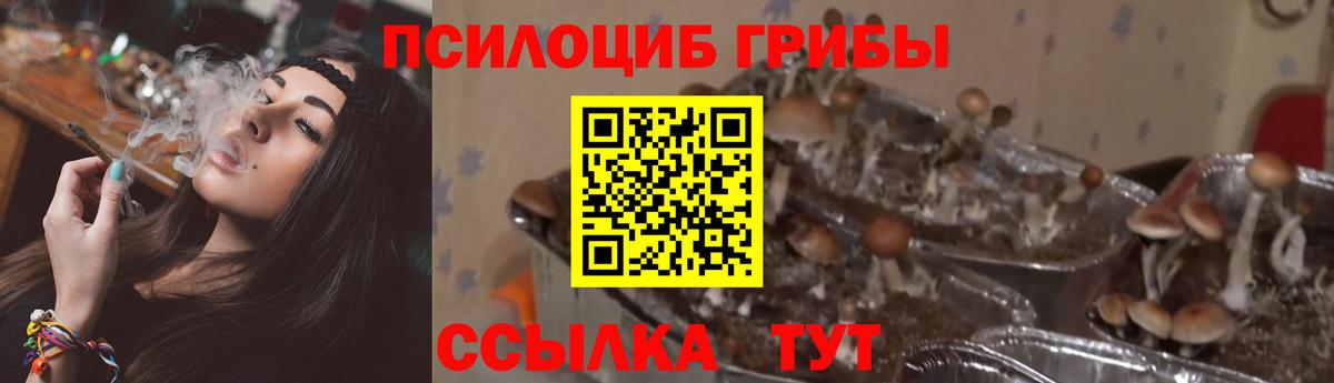 Псилоцибиновые грибы ЛСД Свободный