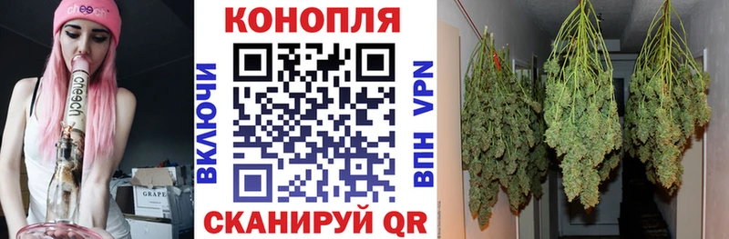 ссылка на мегу онион наркотики Свободный Бошки марихуана планчик