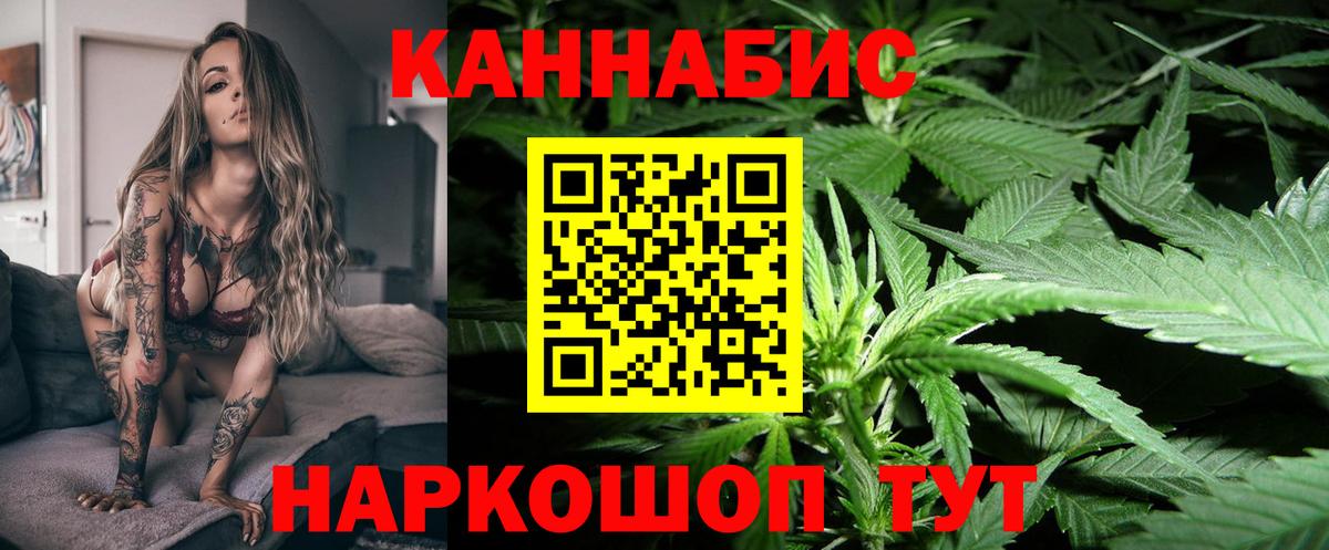 Бошки марихуана планчик  Вход с VPN  Свободный  Шишки марихуана индика  МАРИХУАНА марихуана 
